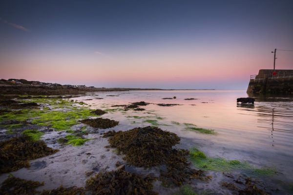 Barna is a coastal village in Connemara, west of Galway city in County Galway, Ireland. A dog is chasing fish in the shallow waters, with the beautiful sunset as a backdrop to the scene.