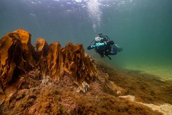 scuba-diving-connemara-14