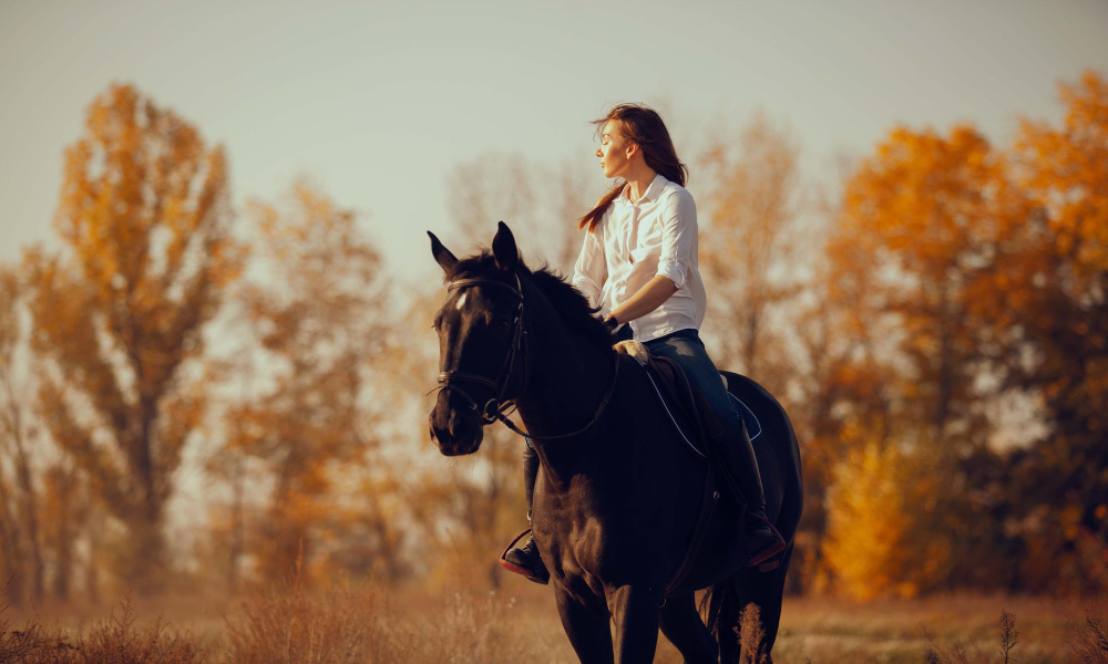 Rider on horseback through an autumn woodland trail